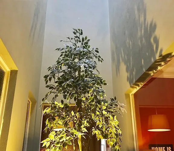 Apartmán Baixa Porto